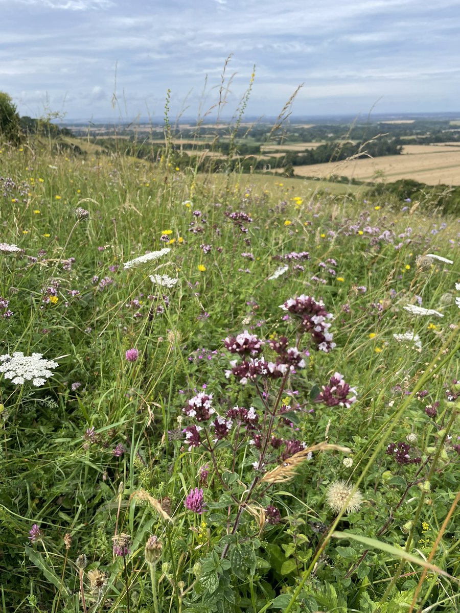 Edel McGurk tweet media