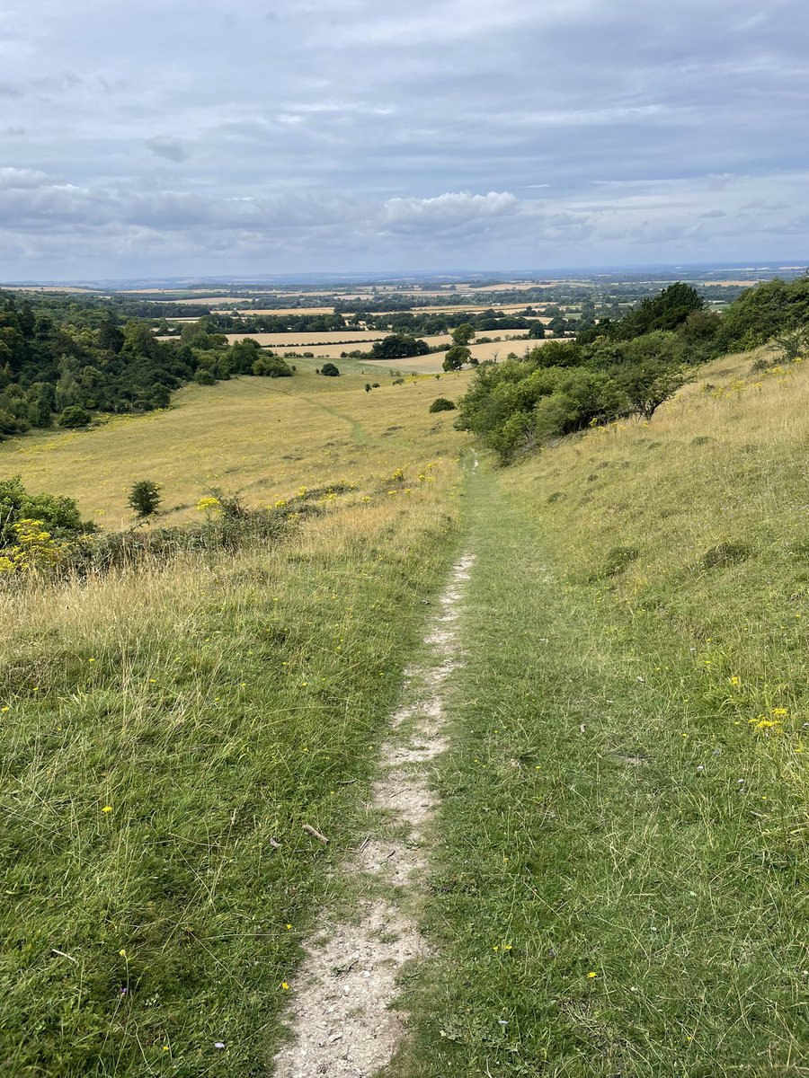 Hard to beat the wonderful subtle colours of #chalkdownland at #AstonRowantNNR.  Taking in the views with the troop of #Dadimas walkers today. Such a pleasure to walk and talk, sharing knowledge and bringing together cultures and generations in #SouthAsianHeritageMonth.