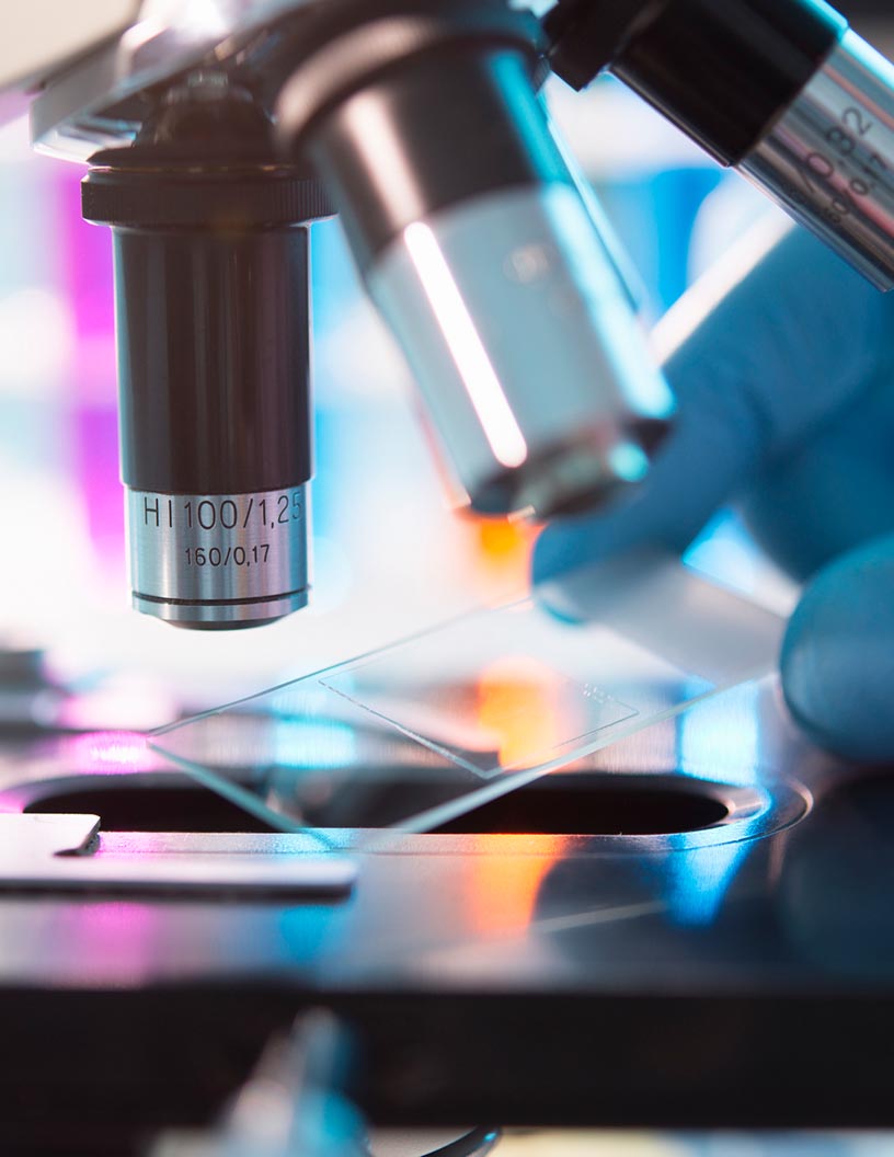 Technavio's tweet image. #3D #OpticalMicroscopy Market Set for Growth Surge: Rising Demand and Technological Innovations Drive Expansion 📈🔬. Explore the segments and factors propelling this market forward: rb.gy/lk31c8

 #TechInnovation #SurfaceMeasurement #AutomotiveTech