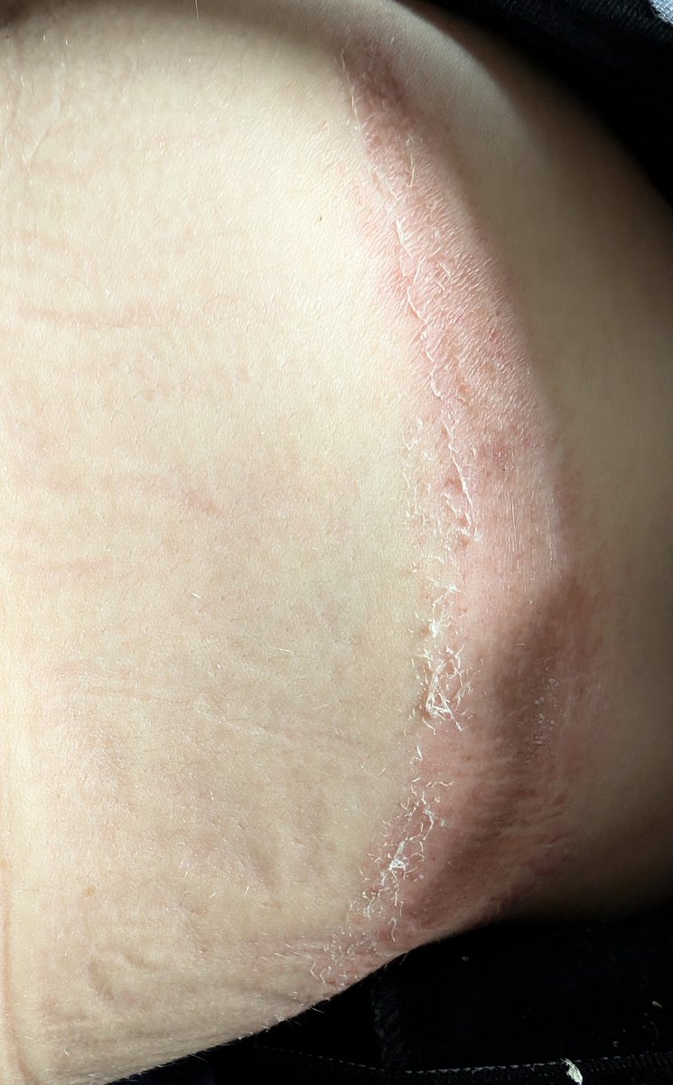 Krystal Moon tweet media