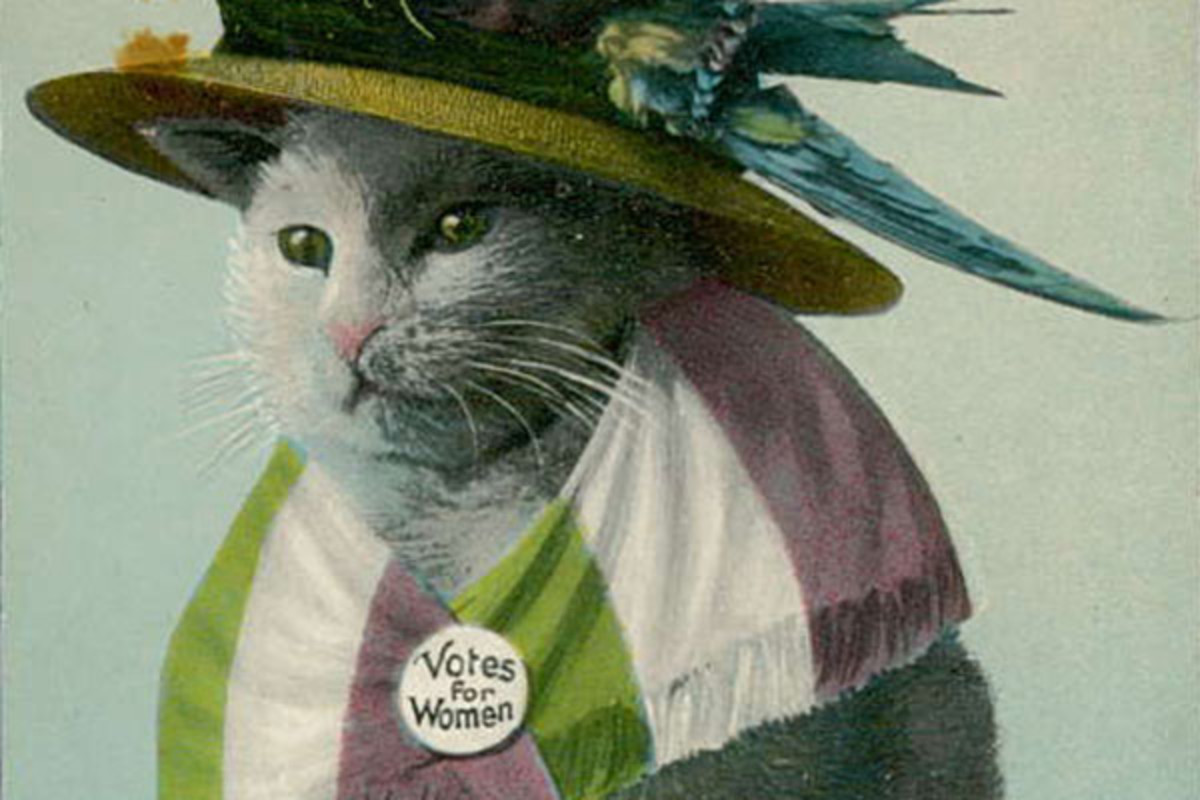 WomanInDC's tweet image. I was at the US women's suffrage museum on Capitol Hill today, the Belmont Paul House, and saw this - cat ladies, again!! or still?