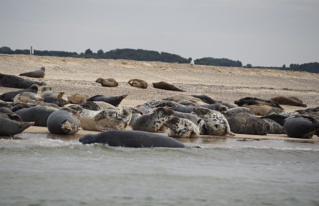 Nick Talbot tweet media