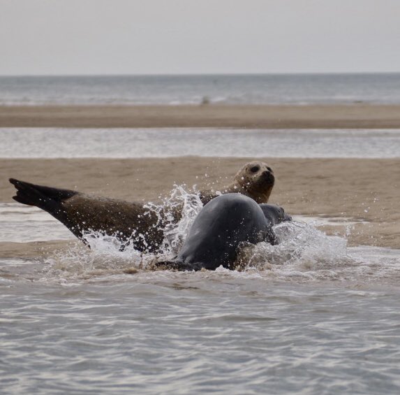 Nick Talbot tweet media