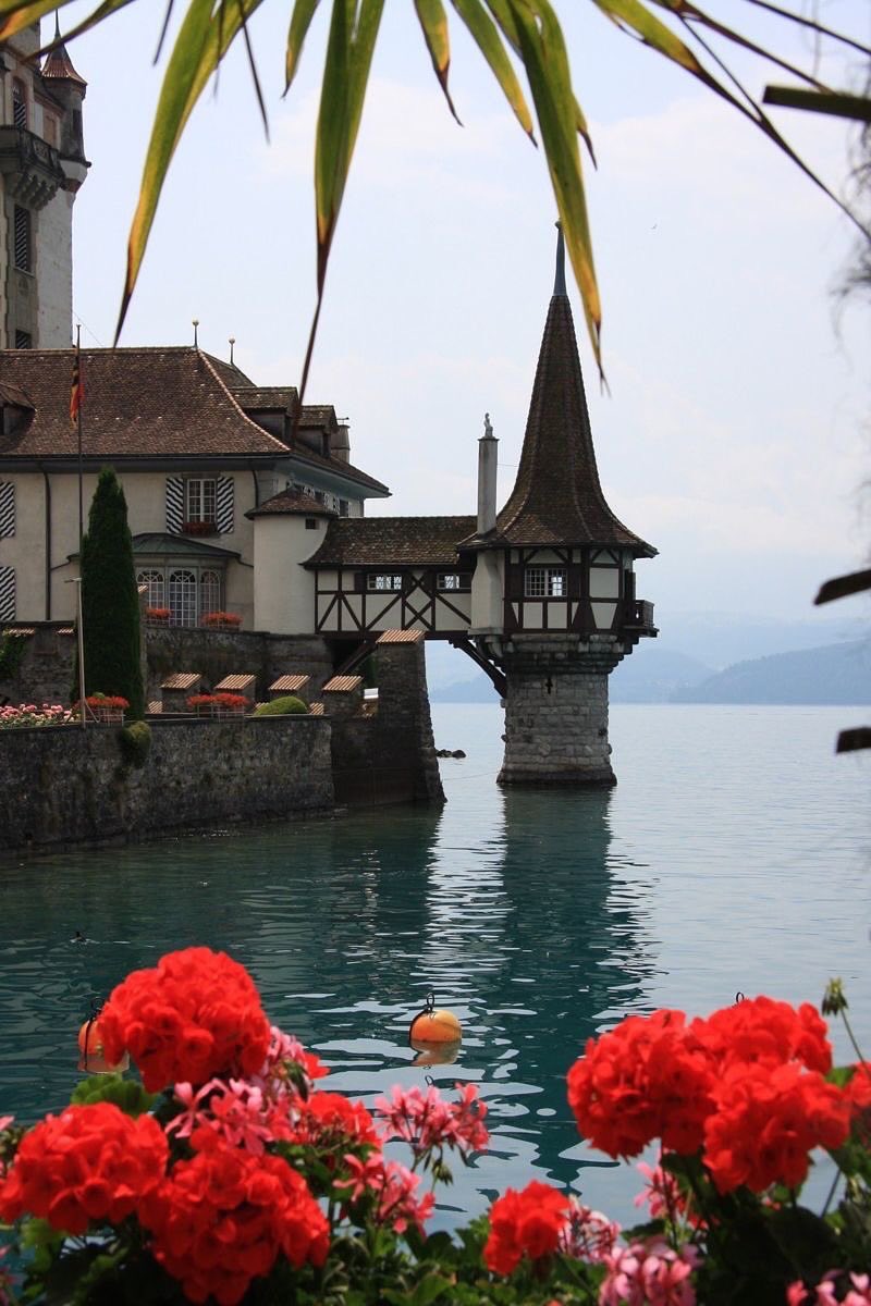 ShiroNoOne's tweet image. Switzerland, bern 🇨🇭