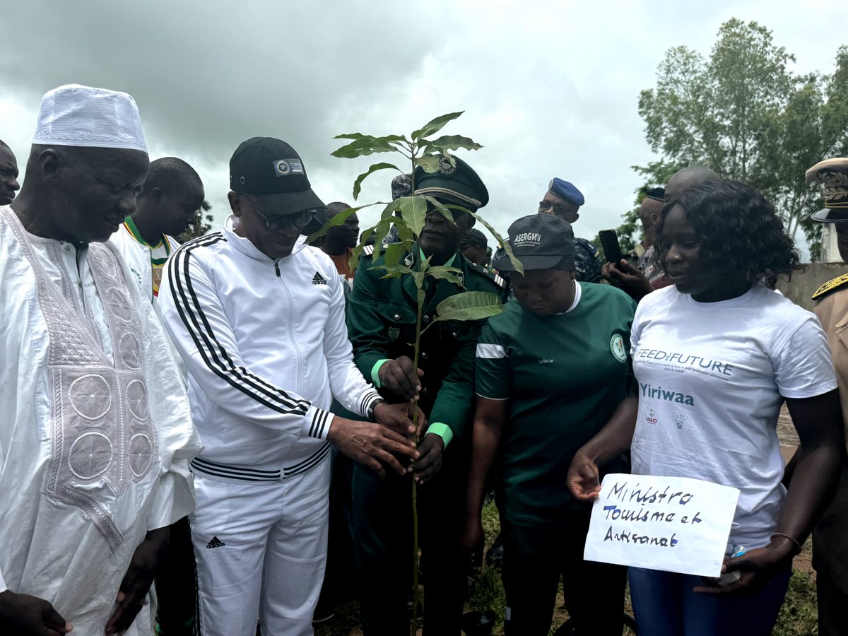 🌳 Journée nationale de l'arbre à Vélingara 🌳
Nous sommes ravis d'annoncer notre participation à la journée nationale de l'arbre à Vélingara. une du projet FtF Yiriwaa avec le soutien de l' <a href="/USAIDSenegal/">USAIDSenegal</a> dont l’objectif est de promouvoir l'engagement des jeunes en Casamance.