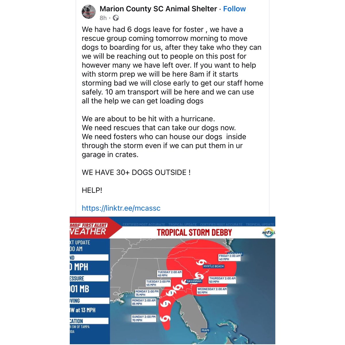 Sam tweet media