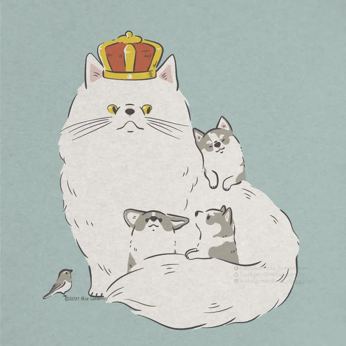 世界猫の日のネコとハスキーとコーギーと#世界猫の日 