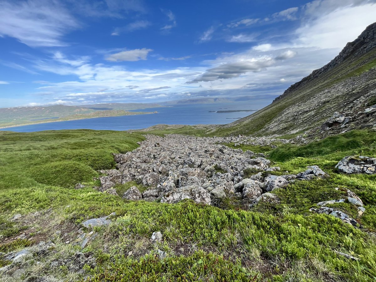 pmelsted's tweet image. Afternoon hike