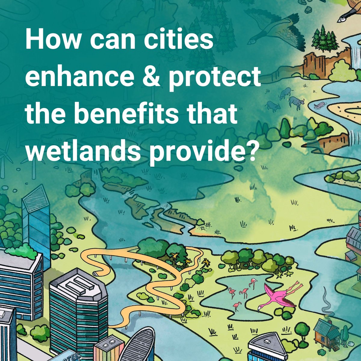 UNBiodiversity's tweet image. Discover the value of #WetlandsForCities 🐸 #CitiesWithNature 

Wetlands are urban gems, providing many benefits to our communities. 🏞️ 

Let's integrate wetland management into city policies &amp;amp; budgets for a sustainable urban future! citieswithnature.org/the-value-of-w…

via @RamsarConv