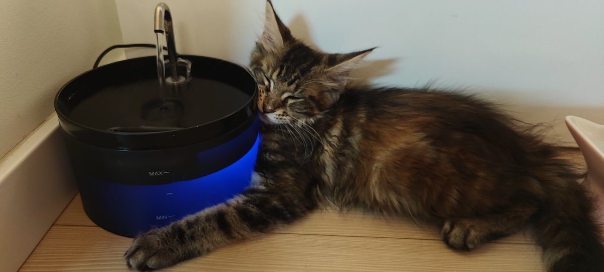 MKMAgency's tweet image. Buenas noches!