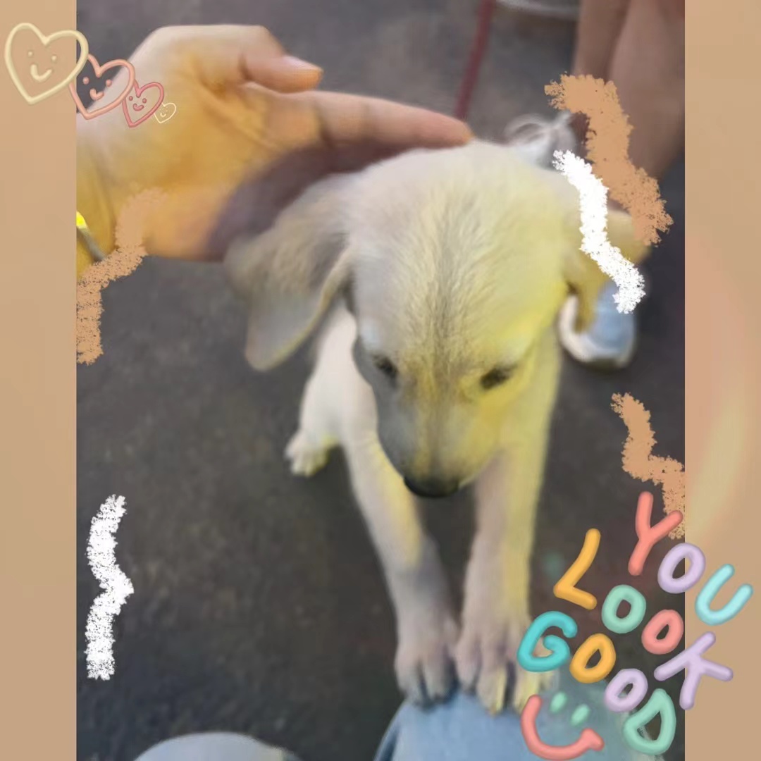 so cute baby