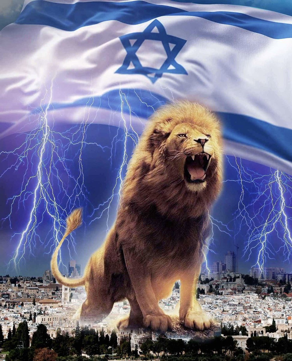 REAL___HINDUVT's tweet photo. @sentdefender Israel lion https://t.co/IICO7duPfC