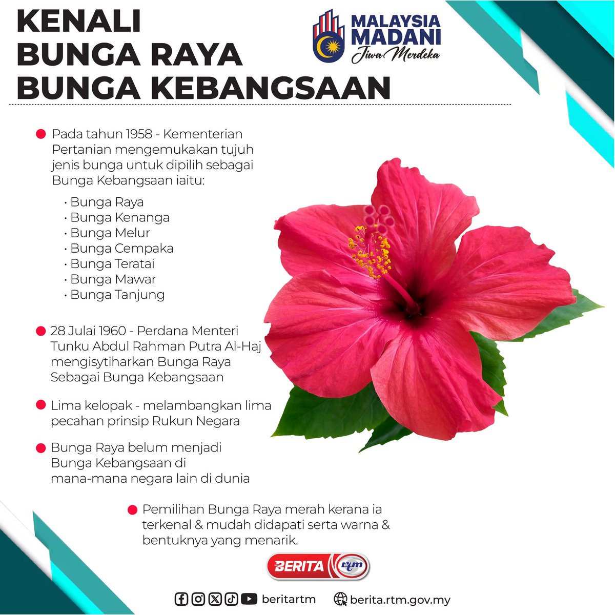 RTM Malaysia 🇲🇾 (@rtm_malaysia) on Twitter photo KENALI BUNGA RAYA BUNGA KEBANGSAAN
"Malaysia MADANI: Jiwa Merdeka"
<a href="/beritartm/">Berita RTM</a>
#HKHM2024
#RTM
#MalaysiaMADANI KENALI BUNGA RAYA BUNGA KEBANGSAAN
"Malaysia MADANI: Jiwa Merdeka"
<a href="/beritartm/">Berita RTM</a>
#HKHM2024
#RTM
#MalaysiaMADANI