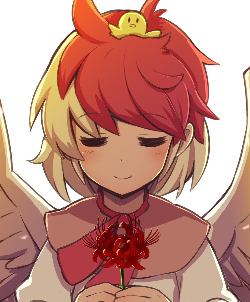 Kutaka Niwatari tweet media