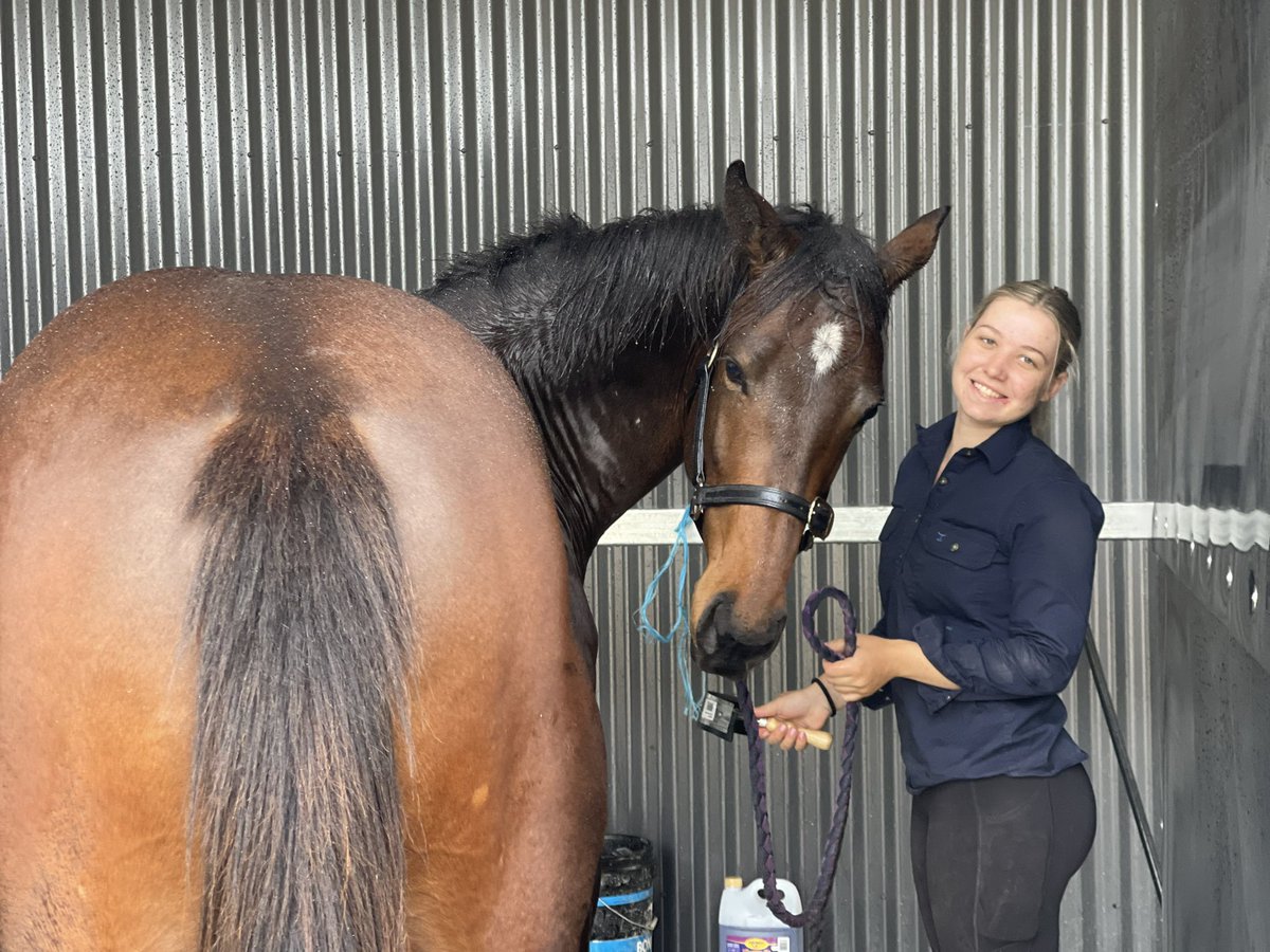 GlenX Lodge (@glenxlodge) on Twitter photo Macey and “Kai” are all smiles for a Monday morning.
Alabama Express x Ikigai colt.
<a href="/mmsnippets/">Magic Millions</a> two year old in training draft. Macey and “Kai” are all smiles for a Monday morning.
Alabama Express x Ikigai colt.
<a href="/mmsnippets/">Magic Millions</a> two year old in training draft.