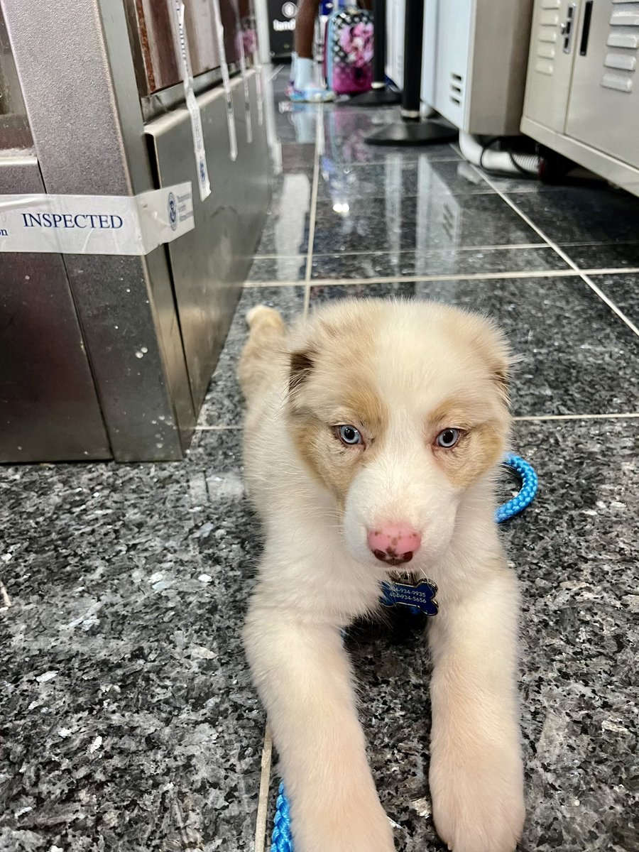 Austin Baird tweet media