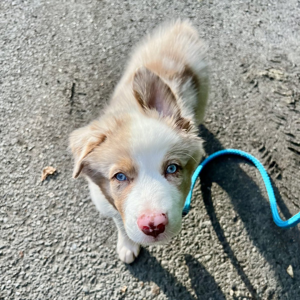 Austin Baird tweet media