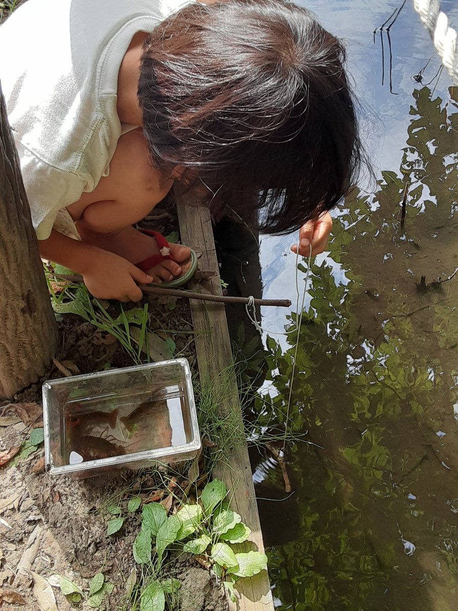 でかいやつは本当に賢くて、つり上げられるまえにハサミを離す癖がちゃんとついている　かなり粘るが、結局釣り上げられず悔しがっていた