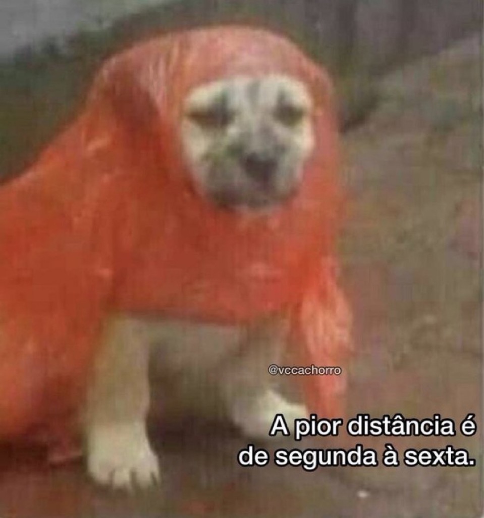 Trouxinha (@euovitinn) on Twitter photo 