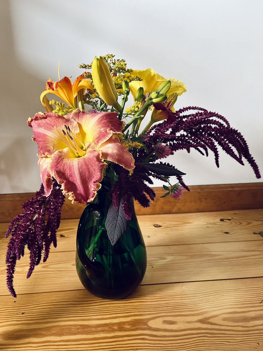 Old Hollow Tree tweet media