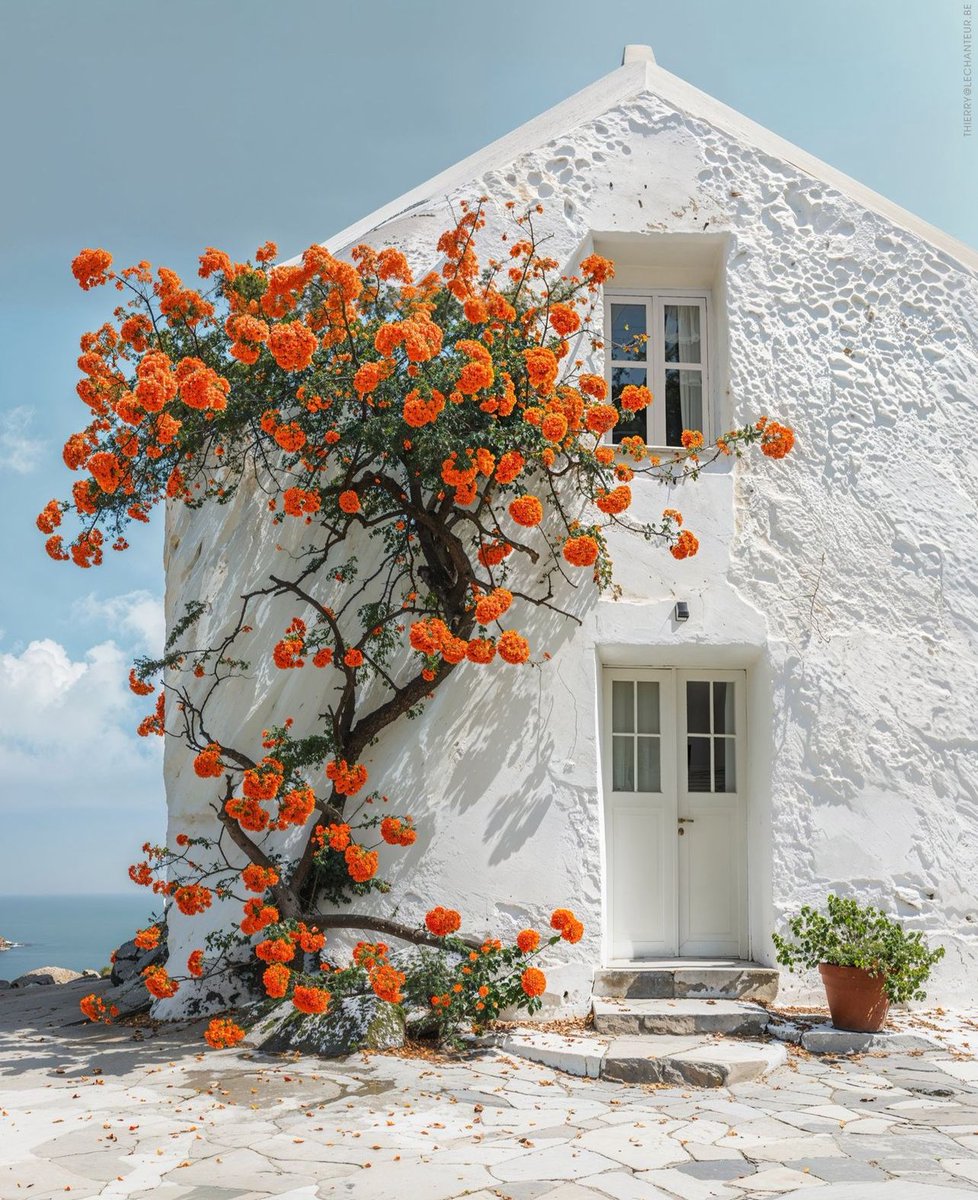 🧡