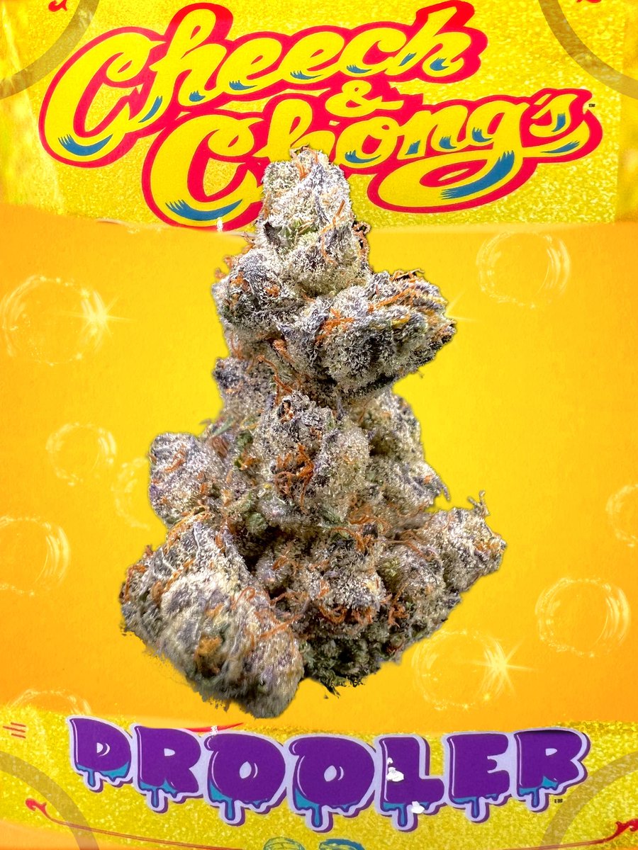 𝙄𝙣 𝘾𝙤𝙡𝙡𝙖𝙗𝙤𝙧𝙖𝙩𝙞𝙤𝙣 𝙬𝙞𝙩𝙝 𝘿𝙤𝙜𝙃𝙤𝙪𝙨𝙚 𝙁𝙖𝙧𝙢𝙨, 𝘾𝙝𝙚𝙚𝙘𝙝 𝙖𝙣𝙙 𝘾𝙝𝙤𝙣𝙜 𝙥𝙧𝙚𝙨𝙚𝙣𝙩 𝘿𝙧𝙤𝙤𝙡𝙚𝙧 &amp; 𝙎𝙩𝙖𝙙𝙖𝙣𝙠𝙤𝙝𝙝𝙝𝙝, 2 𝙨𝙩𝙧𝙖𝙞𝙣𝙨 𝙩𝙝𝙖𝙩 𝙖𝙧𝙚 𝙨𝙪𝙧𝙚 𝙩𝙤 𝙨𝙩𝙖𝙮 𝙞𝙣 𝙮𝙤𝙪𝙧 𝙛𝙡𝙤𝙬𝙚𝙧 𝙨𝙩𝙖𝙨𝙝 🐕🔥⛽️
#cheechandchong