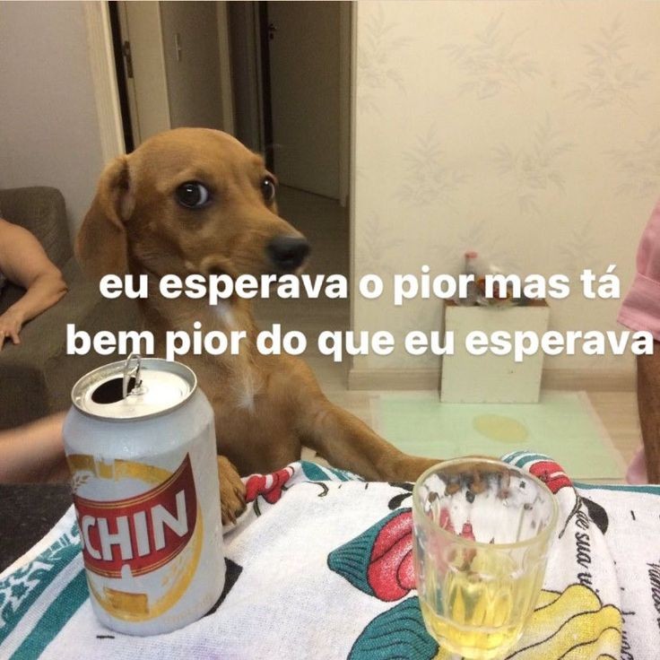 darkosys's tweet image. 