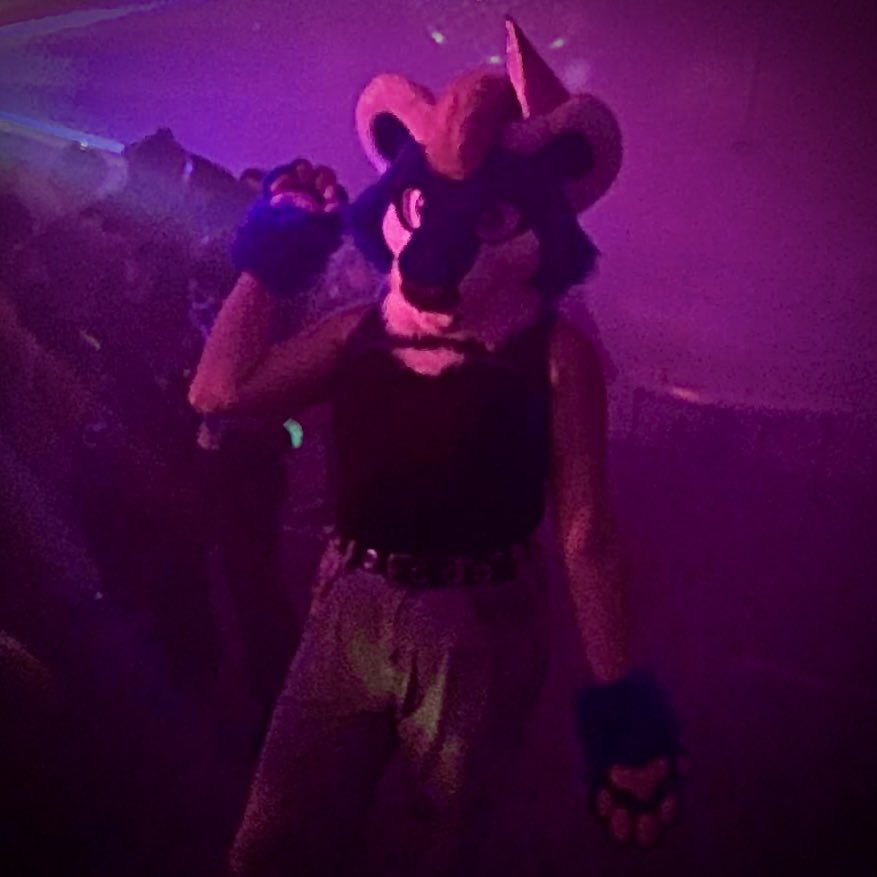 Blinkums's tweet photo. Some more Ravefurrest 7 pics featuring some amazing people I got to meet!

🦌: @russelbuck 
🤠: @RaiKaiZen 
🐶: @StarWing71 https://t.co/GCHCAVdHSc