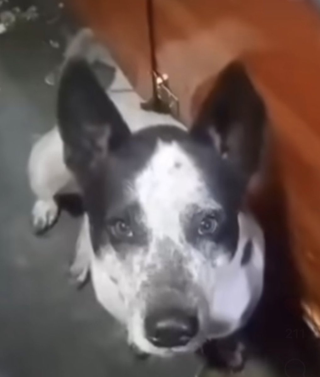 Farmatodo cree que por todo el peo electoral nos vamos a olvidar de Manchas.