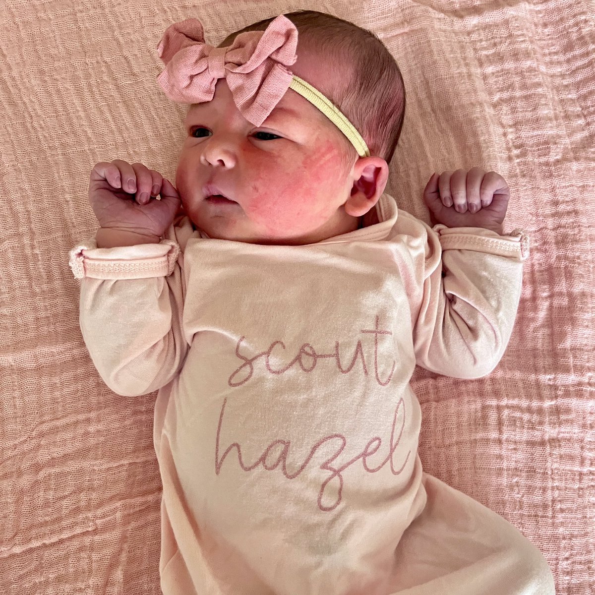Abbie Geveshausen tweet media