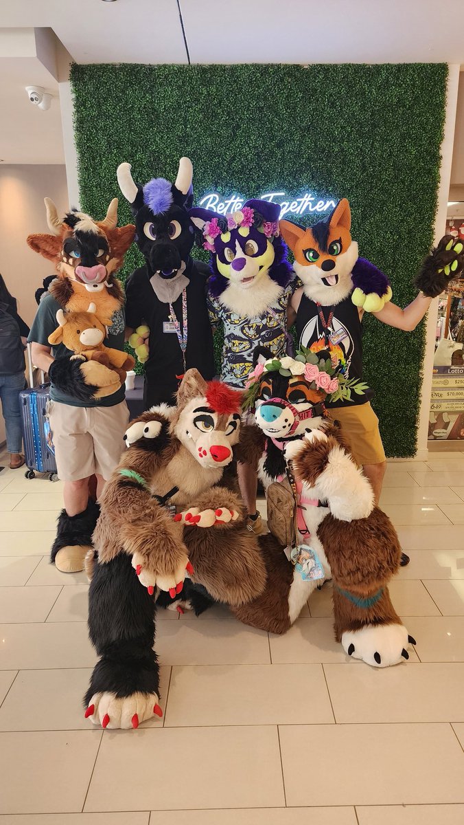 Dam the Big Gay Wolf 🌈✨ (@somewolfy) on Twitter photo I'm on the way home from <a href="/canFURence/">CanFURence: Furries of the Wastes</a> and PCD has never hit so hard...
Thank you to everyone for making this convention so memorable ❤️ Every single second of it was unforgettable 🥹 I'm on the way home from <a href="/canFURence/">CanFURence: Furries of the Wastes</a> and PCD has never hit so hard...
Thank you to everyone for making this convention so memorable ❤️ Every single second of it was unforgettable 🥹