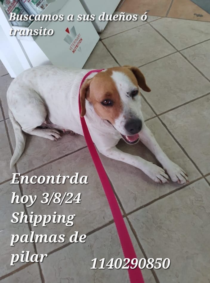 patripeyrou's tweet photo. Difundimos https://t.co/9moc6ZHtoc