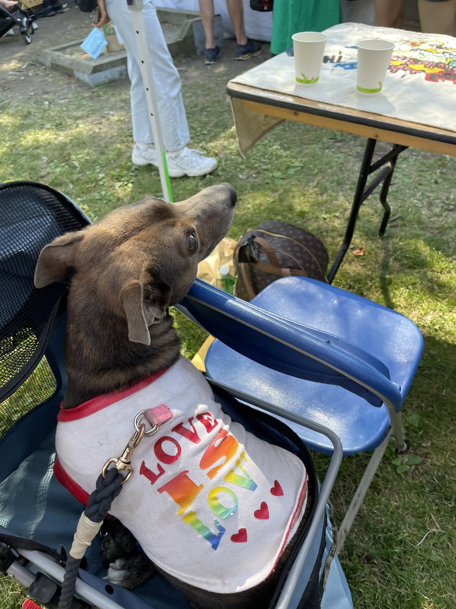 Fiona York tweet media