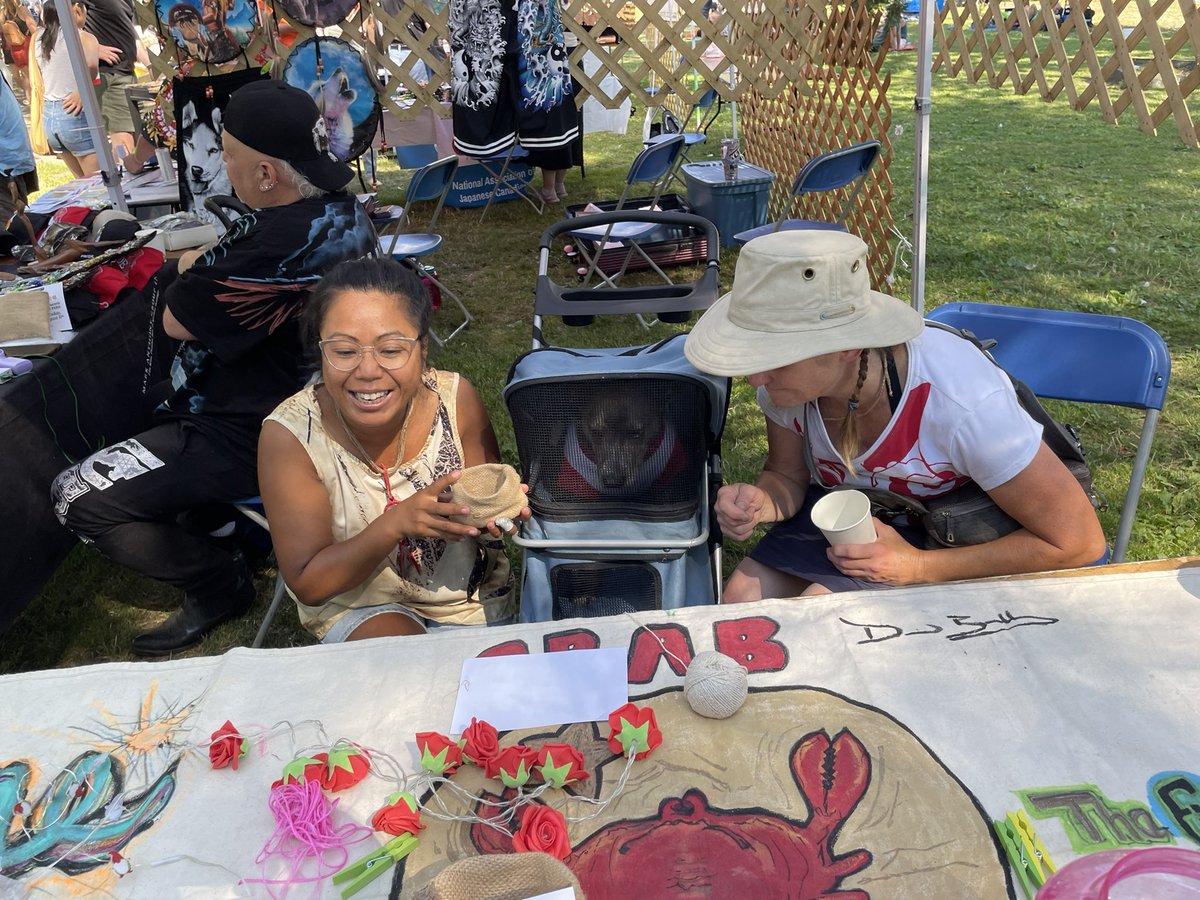 Fiona York tweet media