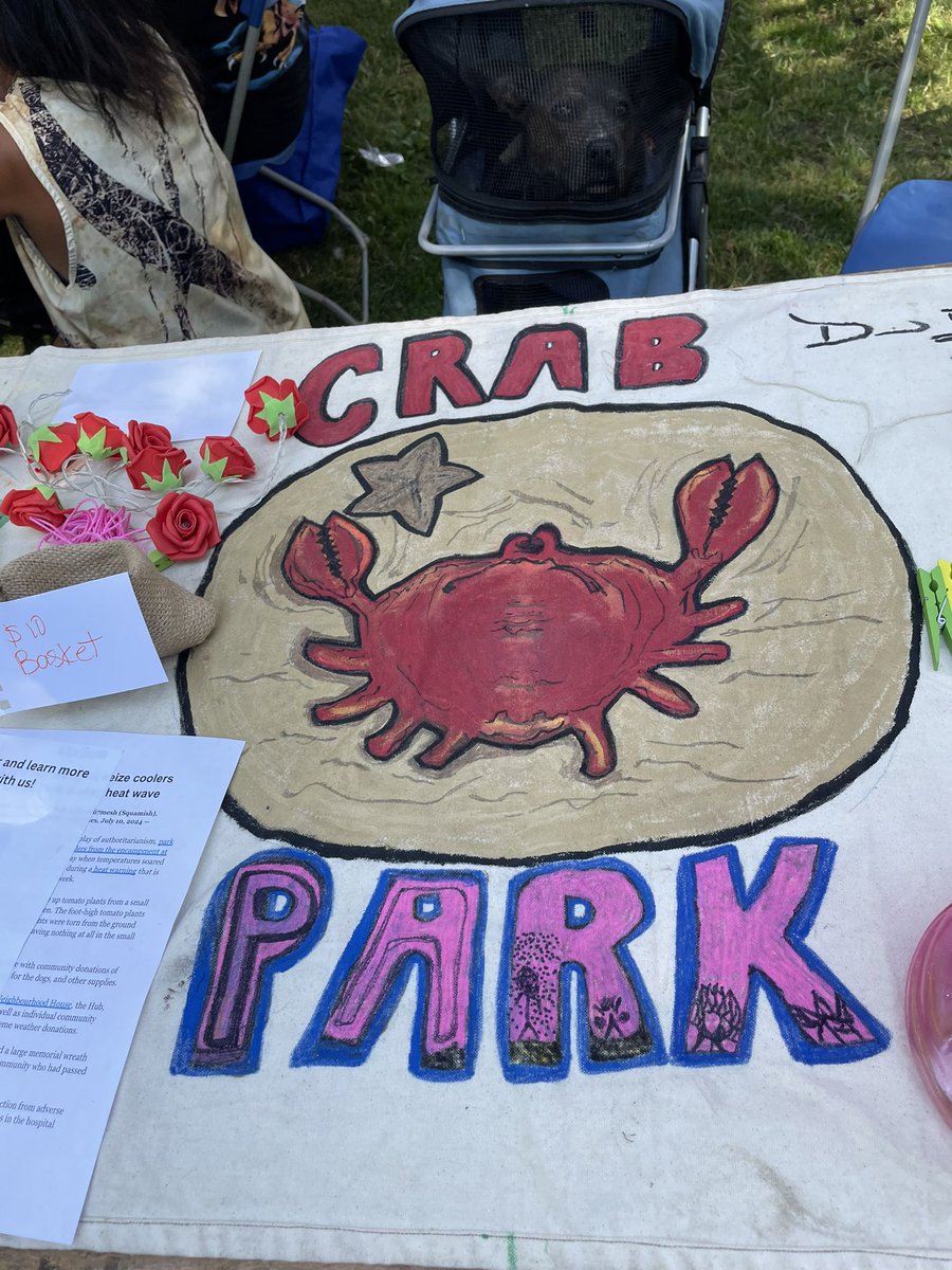 Fiona York tweet media