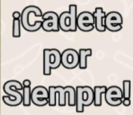 columanasbj's tweet photo. @dcabellor #ElPuebloQuiereJusticia @ConElMazoDando Mi Alférez Auxiliar https://t.co/aeZGzoTBDc