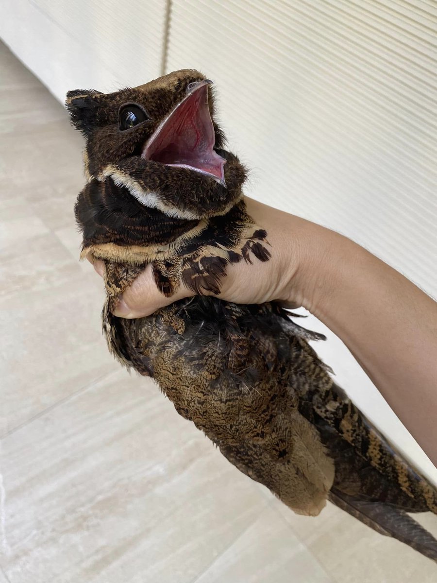 Sm(r)ooth 🔜 FWA tweet media