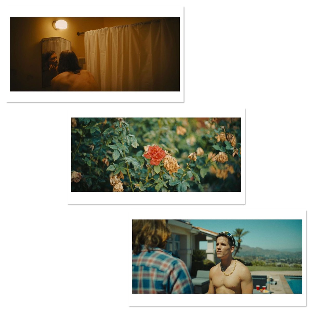 JonShaivitz's tweet image. Since it’s an open topic I thought I’d share these stills from my 1st written/directed feature film ROSES ON THE VINE. We just completed post this week so I guess it counts as a win too? Excited to get it out there! Happy to answer any questions on script/production! #scriptchat