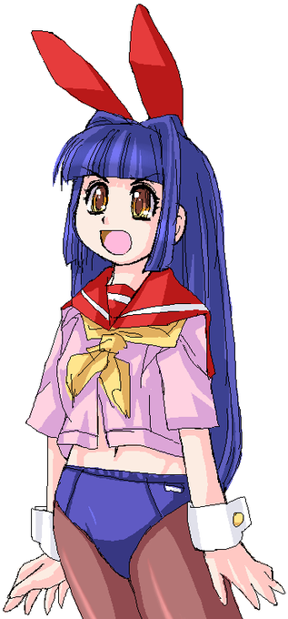 バニーとセーラーとブルマとストッキングを合体させたまったくあたらしい 