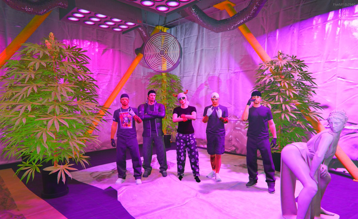 Bem-vindos à família, novatos! 🎉 Estamos animados em ter vocês conosco nesta jornada. E olha só quem resolveu aparecer de surpresa na foto... Parece que o Samurai também não quis ficar de fora dessa! 😄