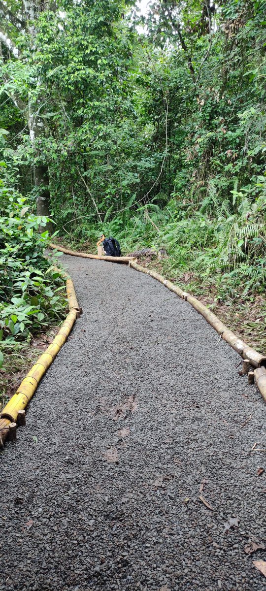 #TeamManatí working in the ADI trail at #CampCNN. 🙌 <a href="/CampsInt/">Camps International</a>
