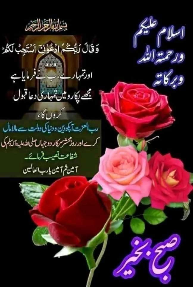 Shafqat Pasand tweet media