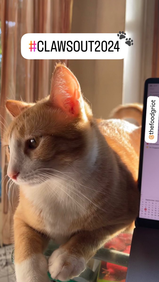 #Clawsout2024 Get Involved ➡️ mobilize.us/?akid=21525.30…