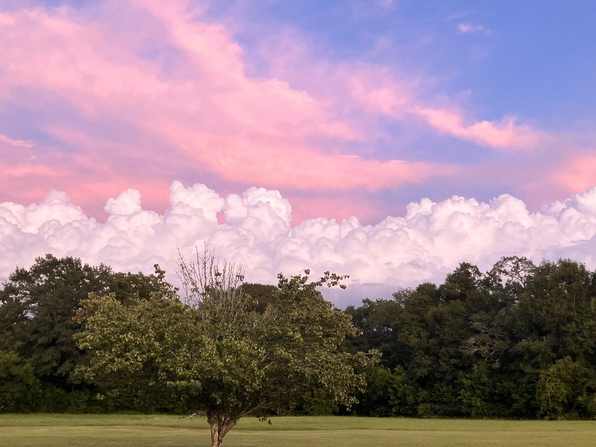 First band rolling in south of Dothan <a href="/spann/">James Spann</a>  taken from near DHN looking south.