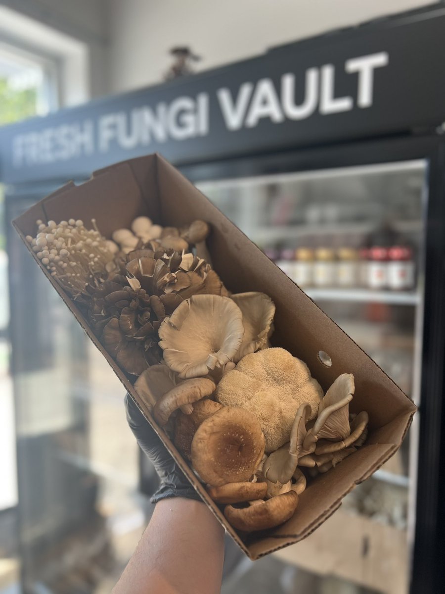 #FungiVault at <a href="/TheMushroomHub/">The Mushroom Hub</a>