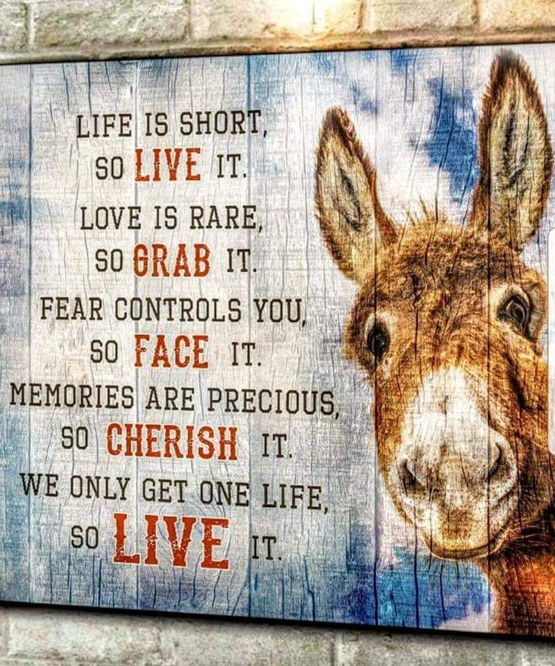 wineworldnews's tweet photo. Wisdom for the week 👍💯👍 #Wisdom #wisdomoftheweek #quote #quoteoftheweek #quoteoftheday @DrJeffersnBoggs https://t.co/HC4R8eRrtI