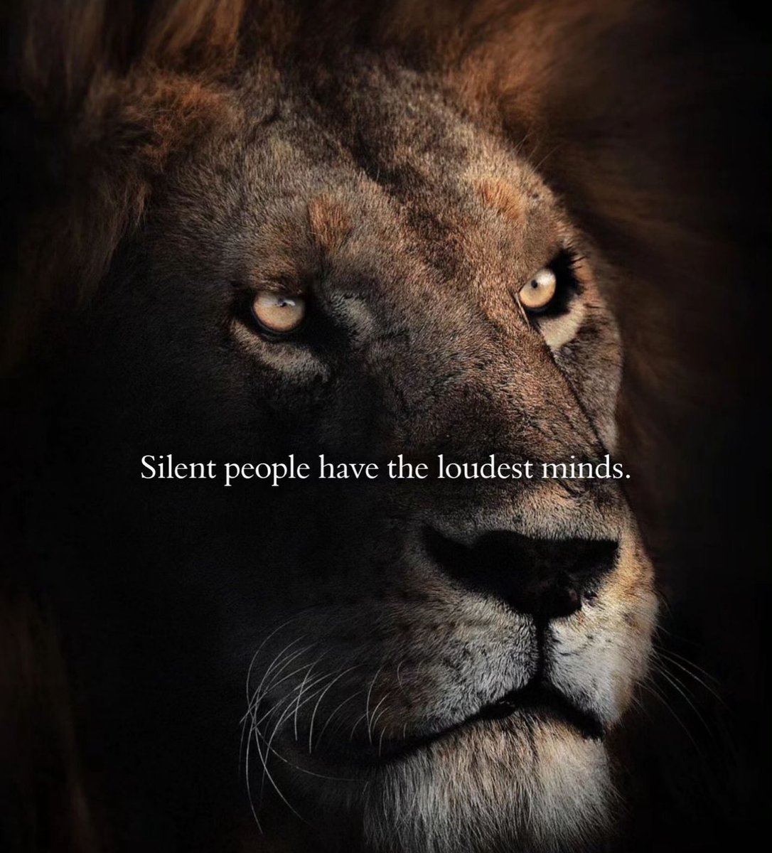 Mindful Maven (@mindfulmaven_) on Twitter photo 