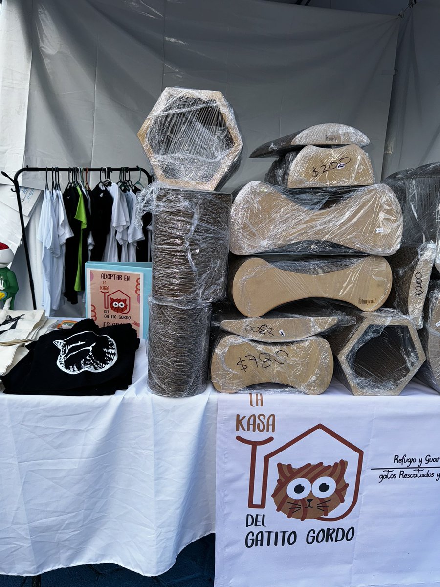 Aquí andamos a pesar de la lluvia <a href="/Gato_Fest/">GatoFest</a> 2024