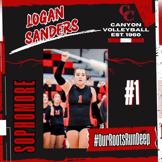 Canyon Volleyball tweet media