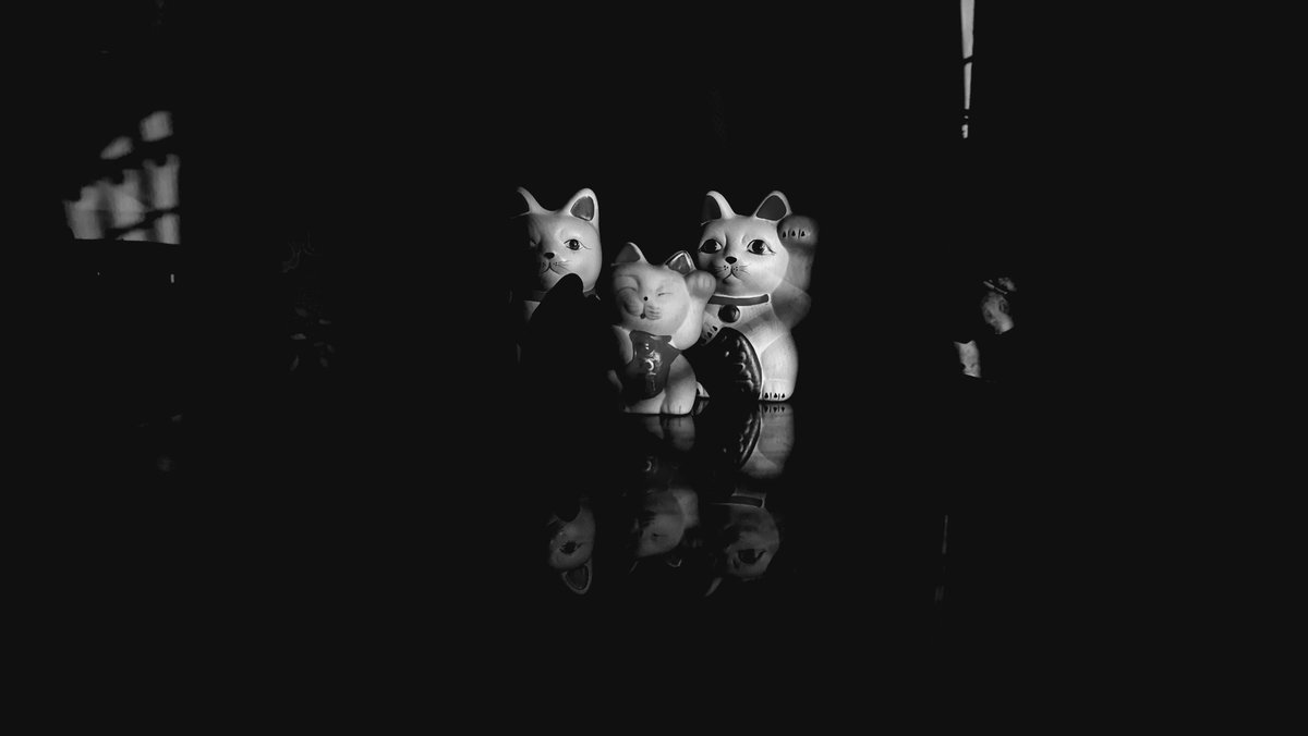 maxmbw's tweet photo. For some reason my account is being followed by bots over and over... 🤷‍♂️🤦‍♂️ but still i leave this picture, a wish for good luck and fortune to us all. Sometimes they come when we're surrounded by a dense darkness, with little to no light to guide us... https://t.co/0EqnWpGeh8